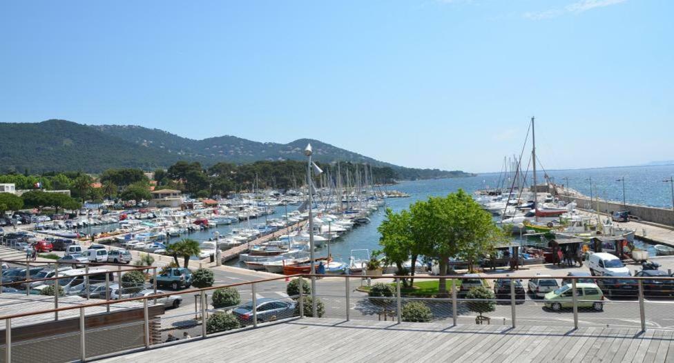 Apartamento Studio 4 Personnes Avec Piscine, Tennis Hyères Exterior foto